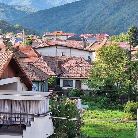 Hotel Casa Delia Călimăneşti Exterior foto