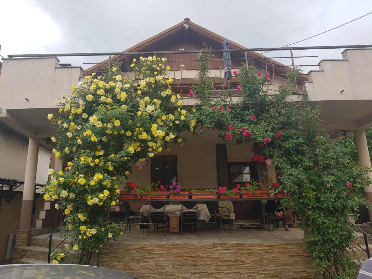 Hotel Casa Delia Călimăneşti Exterior foto